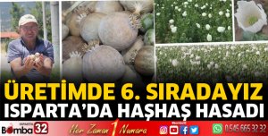 Isparta'da haşhaş hasadı