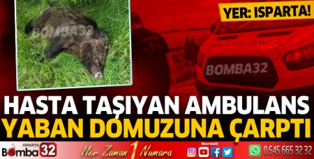 Isparta'da hasta taşıyan ambulans domuza çarptı!