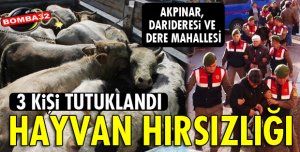 ISPARTA'DA HAYVAN HIRSIZLIĞI OPERASYONU