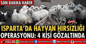 ISPARTA'DA HAYVAN HIRSIZLIĞI OPERASYONU