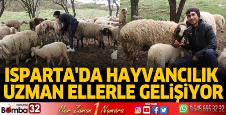 Isparta'da hayvancılık uzman ellerle gelişiyor