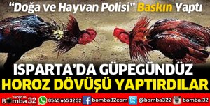 ISPARTA'DA HOROZ DÖVÜŞÜNE CEZA