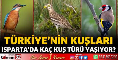 Isparta'da kaç kuş türü yaşıyor