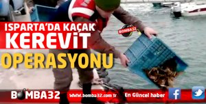 ISPARTA'DA KAÇAK KEREVİT OPERASYONU! 