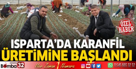 Isparta'da karanfil üretimi başladı