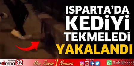 Isparta'da kediyi tekmeledi 