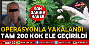 ISPARTA'DA KENEVİR BAHÇESİNE OPERASYON