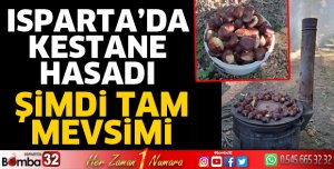 Isparta'da kestane hasadı