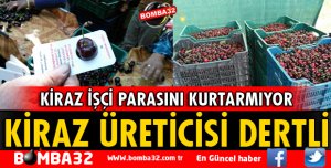 ISPARTA'DA KİRAZ ÜRETİCİLERİ DERTLİ