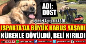 ISPARTA'DA KÖPEĞİ KÜREKLE DÖVÜP BELİNİ KIRDILAR