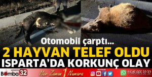 Isparta'da korkunç olay