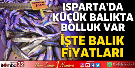 Isparta'da küçük balıkta bolluk var 