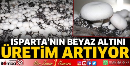 Isparta'da mantar üretimi artıyor