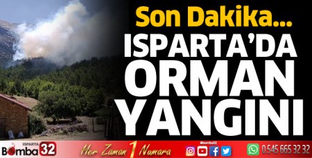 Isparta'da orman yangını 