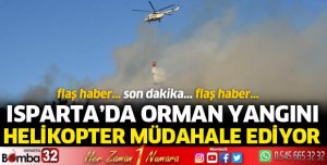Isparta'da orman yangını