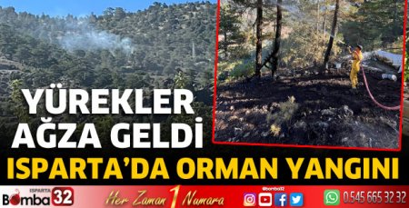 Isparta'da orman yangını