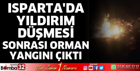 Isparta'da orman yangını