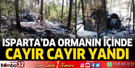 Isparta'da ormanın içinde cayır cayır yandı