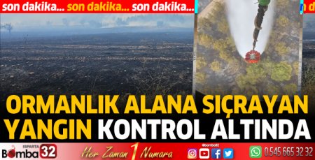 Isparta'da ormanlık alana sıçrayan yangın kontrol altında