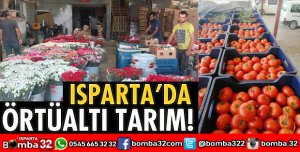 ISPARTA'DA ÖRTÜALTI TARIM