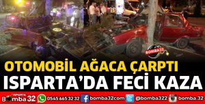 ISPARTA'DA OTOMOBİL AĞACA ÇARPTI 2 YARALI