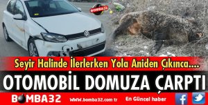 ISPARTA'DA OTOMOBİL DOMUZA ÇARPTI