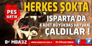 ISPARTA'DA  PES ARTIK  BUDA OLDU ! 