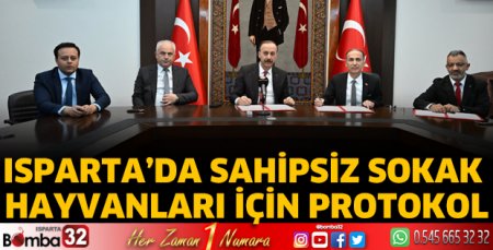Isparta'da sahipsiz sokak hayvanları için protokol