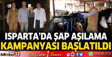 Isparta'da Şap Aşılama Kampanyası başlatıldı