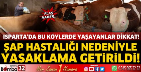 Isparta'da şap hastalığı nedeniyle yasaklama getirildi! 