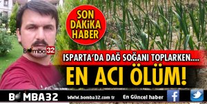 ISPARTA'DA SOĞAN TOPLARKEN ÖLDÜ