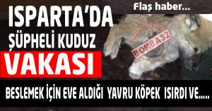 ISPARTA'DA ŞÜPHELİ KUDUZ VAKASI  