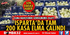 ISPARTA'DA TAM 200 KASA ELMA BAHÇEDEN ÇALINDI