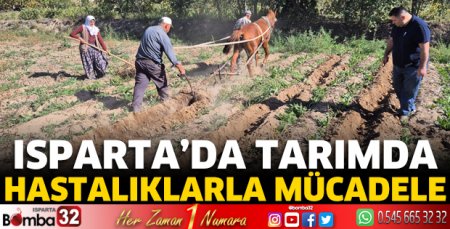 Isparta'da tarımda hastalıklarla mücadele