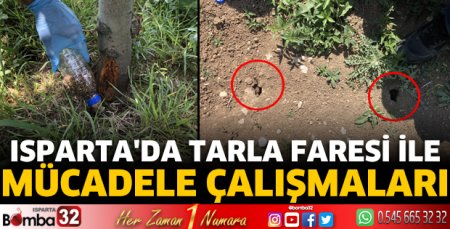 Isparta'da tarla faresi ile mücadele