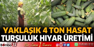 Isparta'da turşuluk hıyar yetiştiriliyor