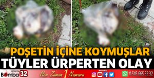 Isparta'da tüyler ürperten manzara