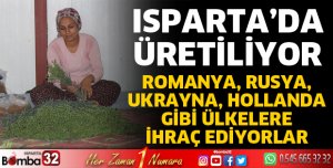 Isparta'da üretip çok sayıda ülkelere ihraç ediyorlar