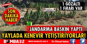 ISPARTA'DA UYUŞTURUCU OPERASYONU