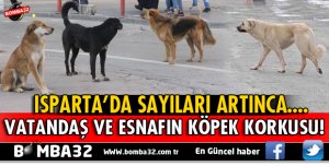ISPARTA'DA VATANDAŞ VE ESNAFIN KÖPEK KORKUSU!