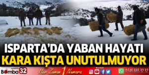 Isparta'da yaban hayatı kara kışta unutulmuyor