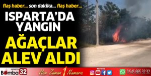 Isparta'da yangın 