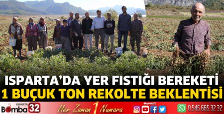 Isparta'da yer fıstığı bereketi