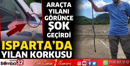 Isparta'da yılan korkusu