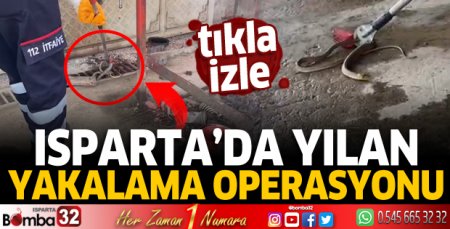 Isparta'da yılan yakalama operasyonu