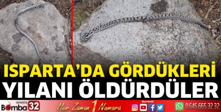 Isparta'da yılanı öldürdüler