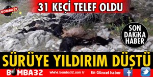 Isparta'da yıldırım düştü 31 keçi telef oldu