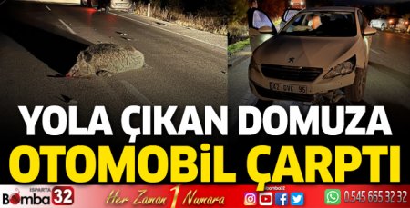 Isparta'da yola çıkan domuza otomobil çarptı