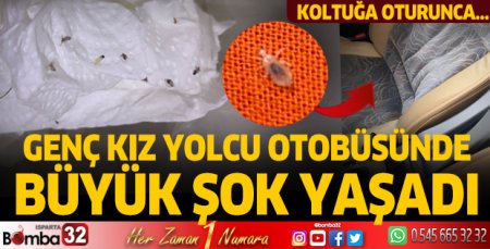 Isparta'da yolcu otobüsünde haşere paniği