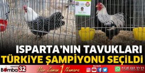 Isparta'nın tavukları Türkiye şampiyonu seçildi
